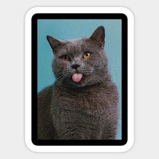Cat showing its tongue Sticker
